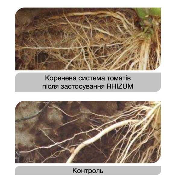Ризум RHIZUM Arvensis активатор корневой системы 5 литров Різум фото